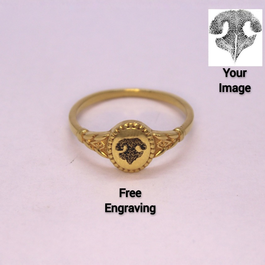 Custom dog nose print signet ring, vintage gold plated engraved memorial ring