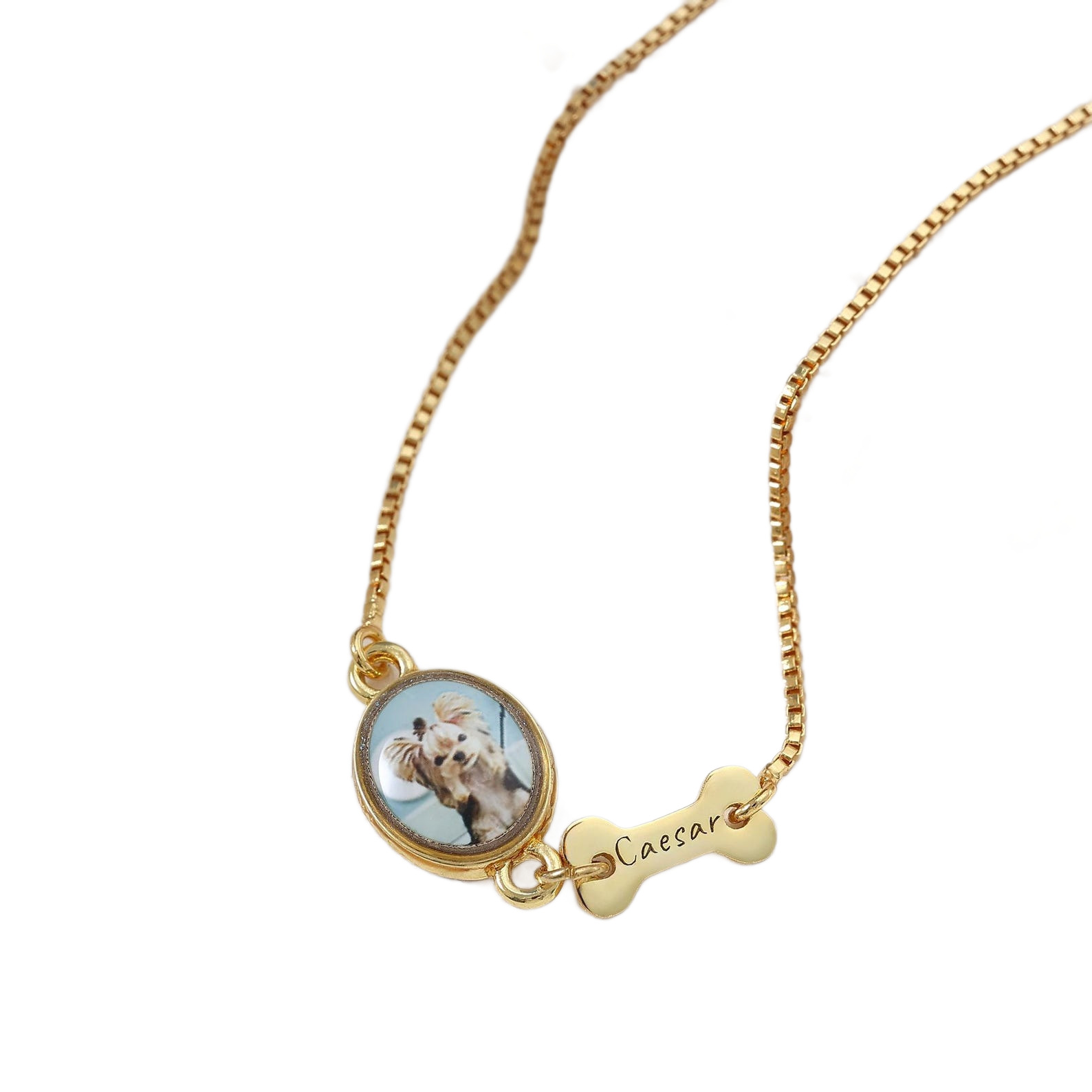 Close-up shot custom pet photo charm bracelet, gold box chain, engraved dog bone name tag hanging on metal bar
