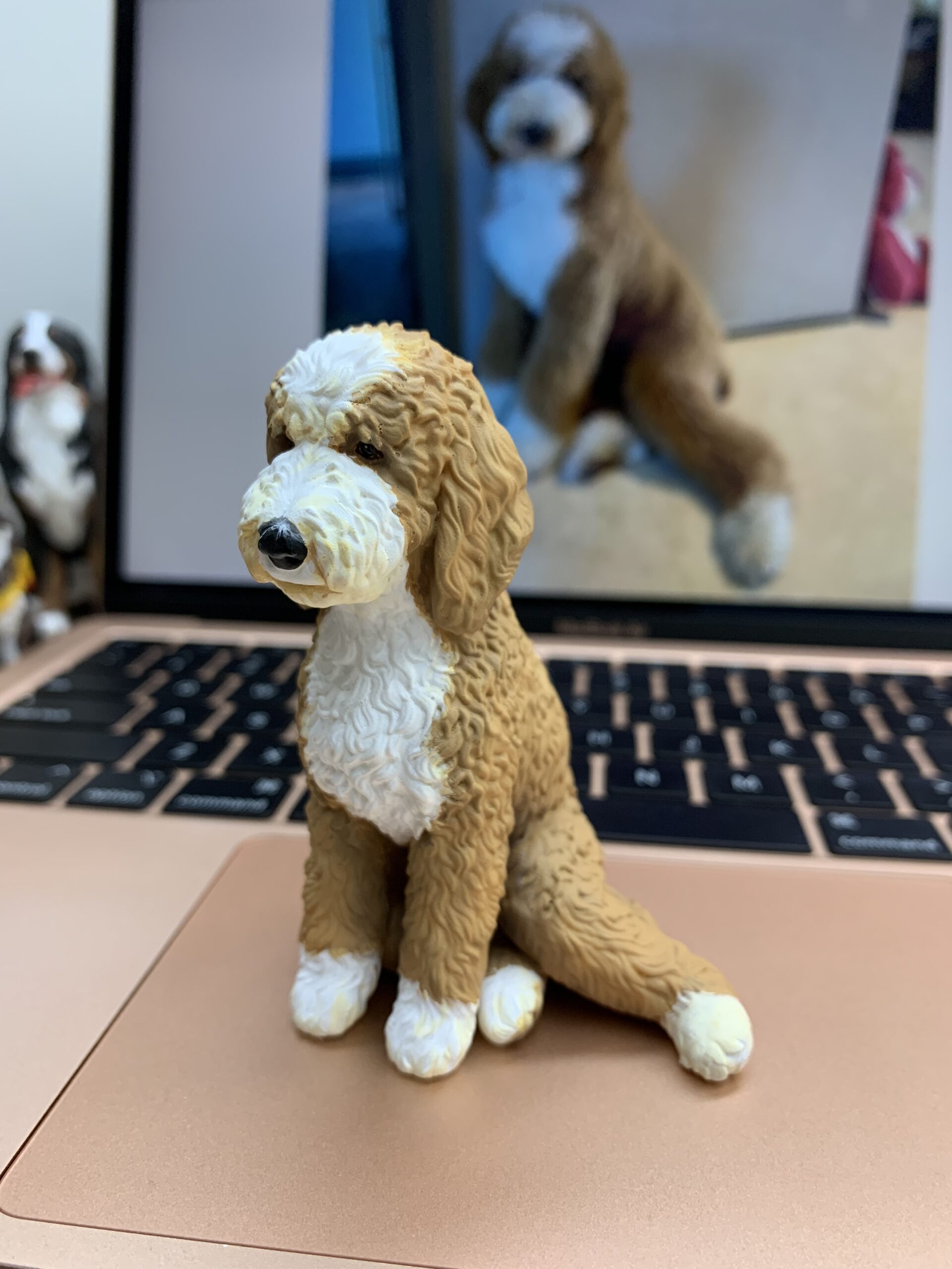 Custom resin doodle dog pet figurine, curly coat, 3D printed, customer photo on laptop, pet memorial statue