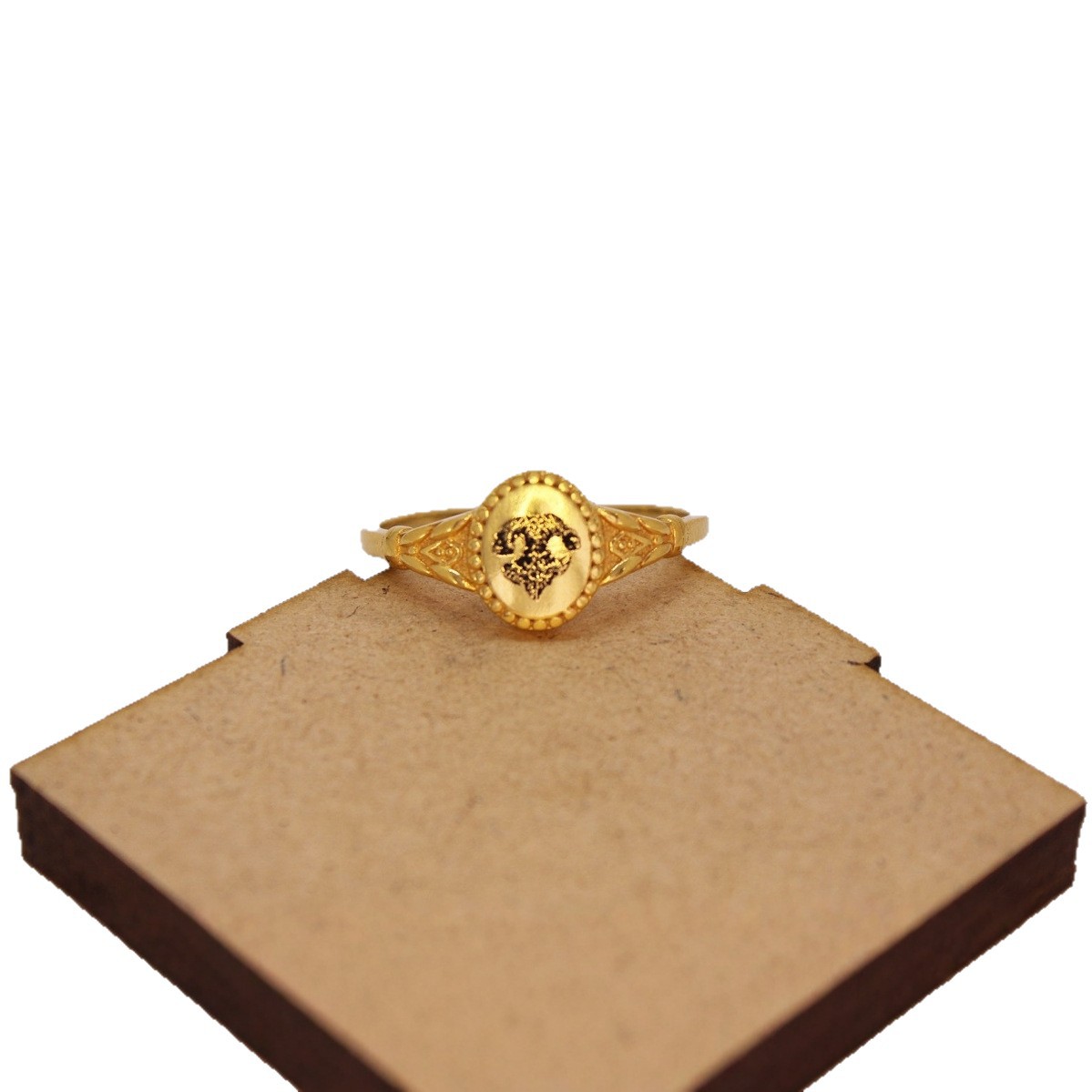 Custom dog nose print ring in gift box, personalized pet memorial jewelry